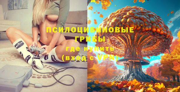 СК Бронницы