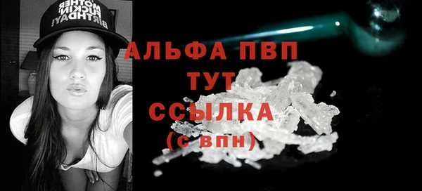 СК Бронницы