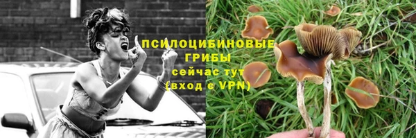 а пвп мука Бородино