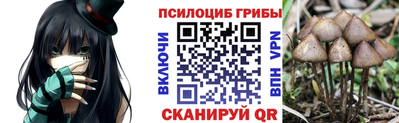 где купить   дарк нет какой сайт  Псилоцибиновые грибы GOLDEN TEACHER  Карабулак 